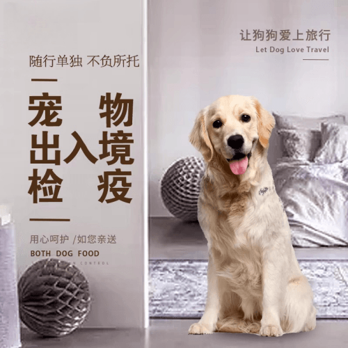 甘肃省宠物托运到哥伦比亚猫狗宠物入境规定和