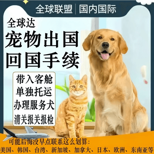 甘肃省宠物托运到柬埔寨宠物入境规定和要求