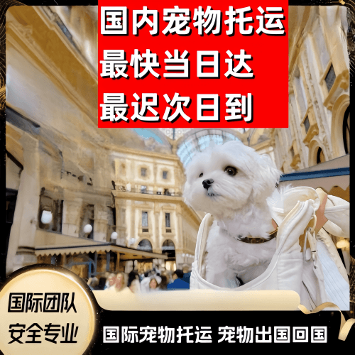 甘肃省到澳大利亚（澳洲）宠物入境规定和要求